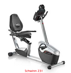 Schwinn 231