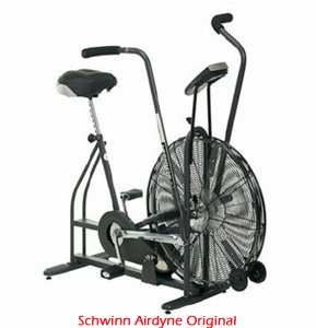 Schwinn Airdyne Original